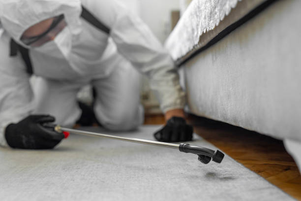 Professional Ant Control technician working in Bristol, CT