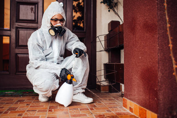 Reliable Ant Control contractor in Bristol, CT by Show Me Pest Control